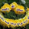 عطر الشمال