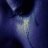 yasir555