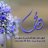 عمر الحربي
