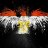 Ahmed.Elnady