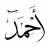 أحمد الغزي