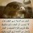 alitubail