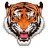 tiger1980