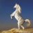 Adam_masry