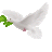 حسين الهادي