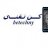 علاء انور