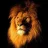 Ahmed.m.m.eb