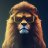 mahmoud_zeezo20889