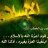 ahmednafie