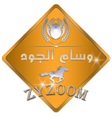 وسام الجود